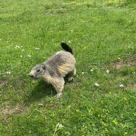 L'equipe 2* Le Sauze