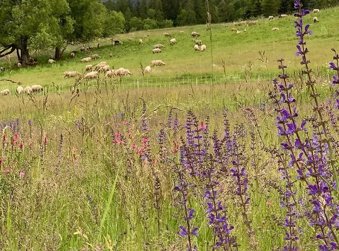 Hotel L'équipe Le Sauze