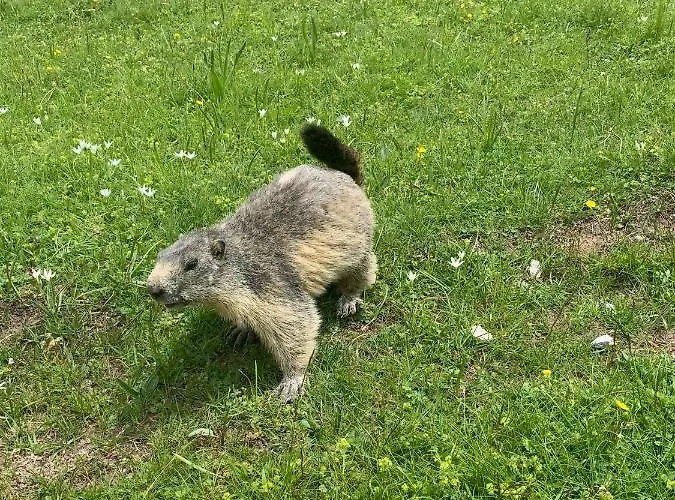 L'équipe 2* Le Sauze