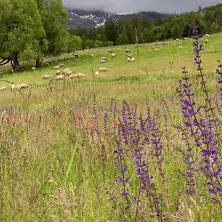 Hotel L'équipe Le Sauze